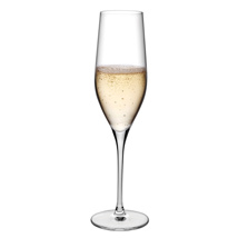 Vinifera champagne glass 255 ml