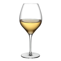 Vinifera white wine glass 600 ml