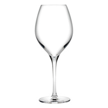 Vinifera all purpose wine glass 440 ml