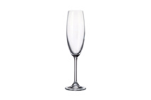 Colibri champagne glass 220 ml
