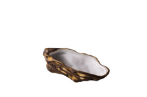 Oyster shell 13,2 x 7,4 x 4 cm