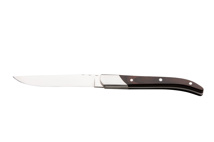 Louisville Steak knife 22.5 cm