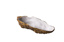 Oyster shell 24 x 10,6 x 5 cm